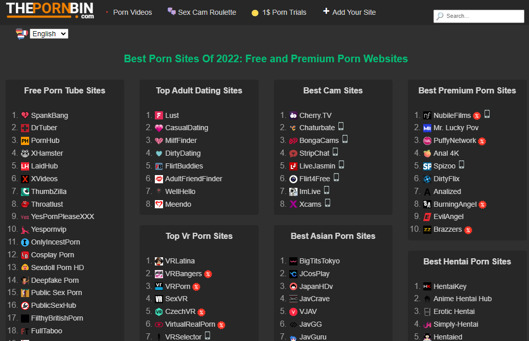 Why you should bookmark ThePornBin?